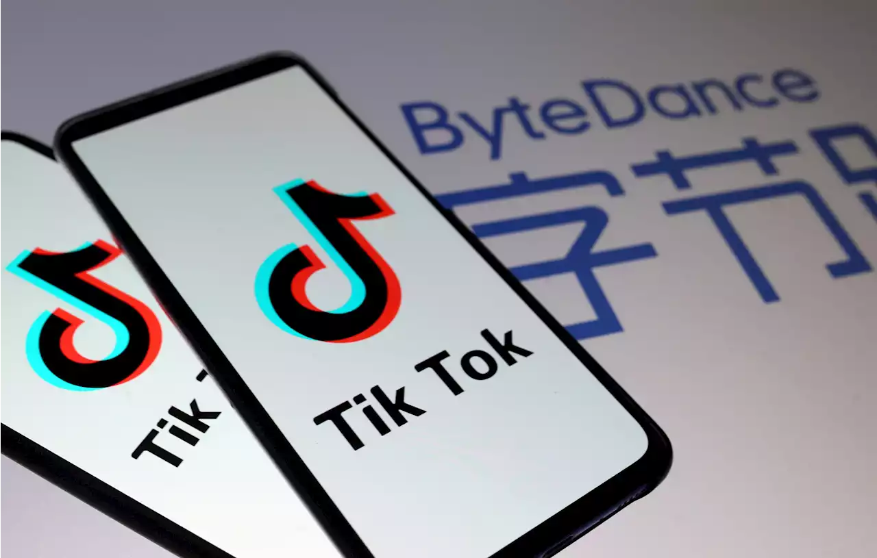 Swedish military bans TikTok on work phones