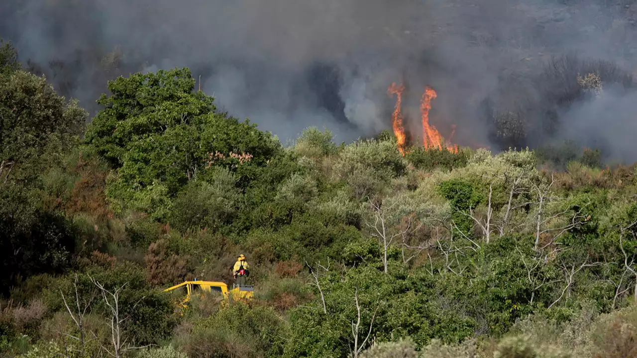 Firefighters gain on early Spain wildfire | The Guardian Nigeria News - Nigeria and World News