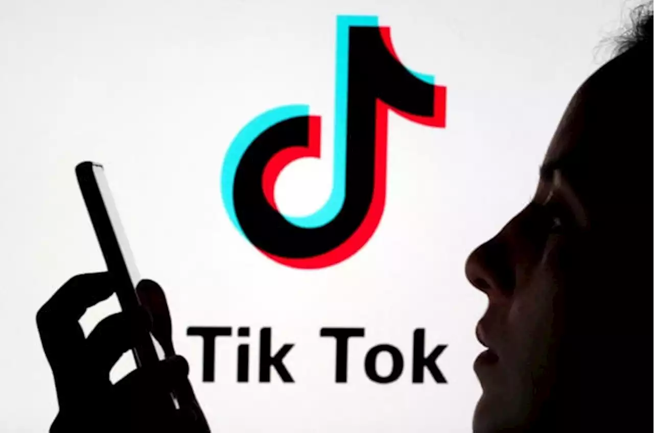 Japan ruling party group eyes ban on TikTok, other apps – lawmaker