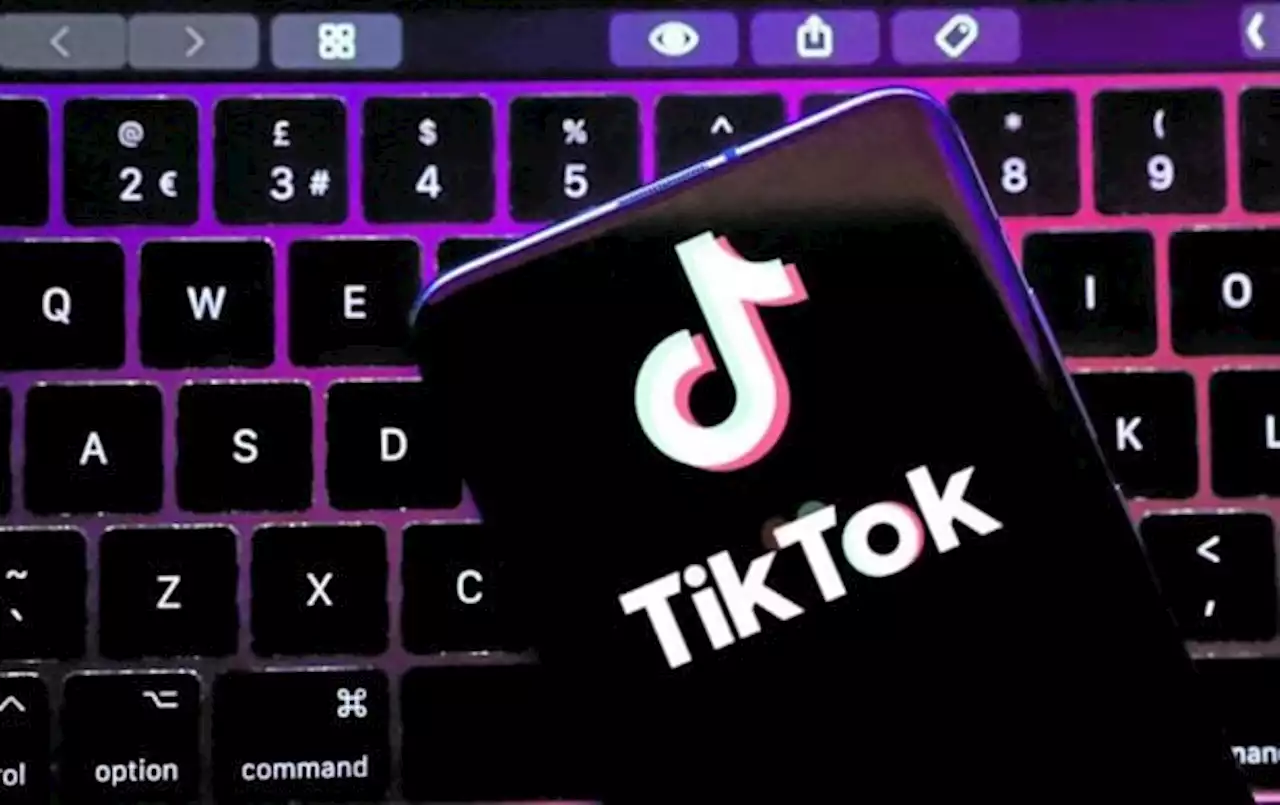 US House speaker says lawmakers to move forward with TikTok bill