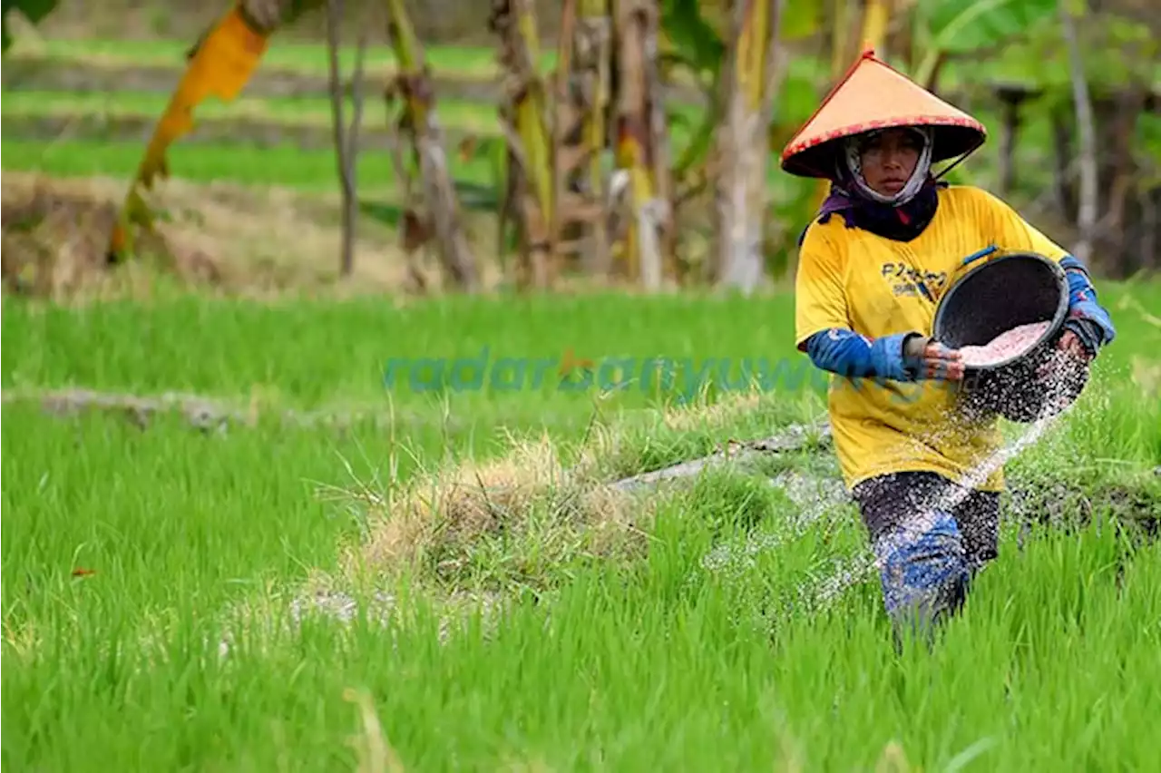 Siapkan Rp 15 Miliar untuk Bantuan Pupuk