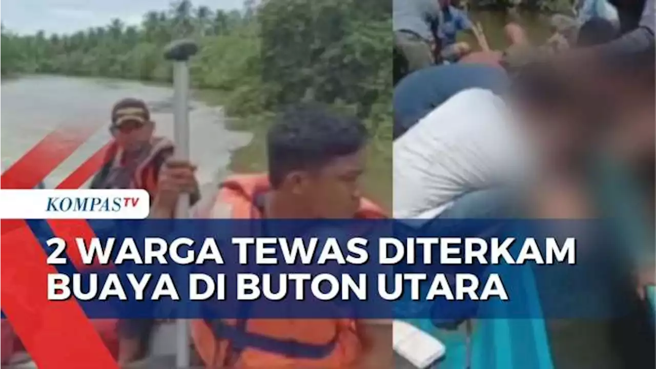 Sempat Hilang, 2 Warga Tewas Diterkam Buaya di Sungai Desa Lambale