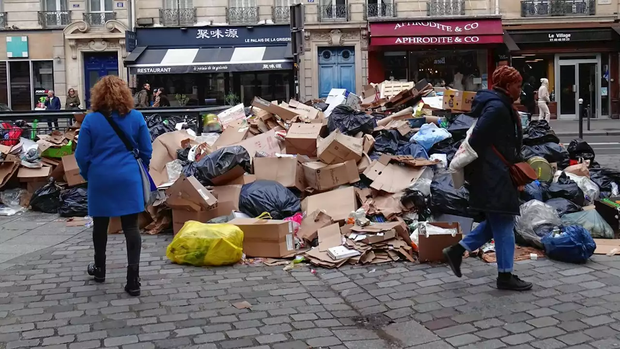 Müllabfuhr streikt: Paris stinkt zum Himmel