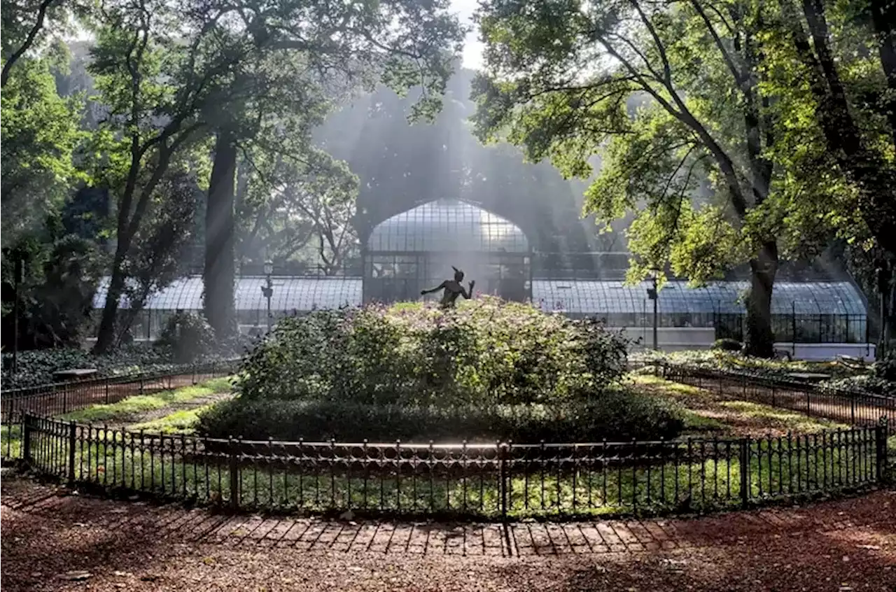 El Jardín Botánico, primer “refugio climático” de la ciudad de Buenos Aires