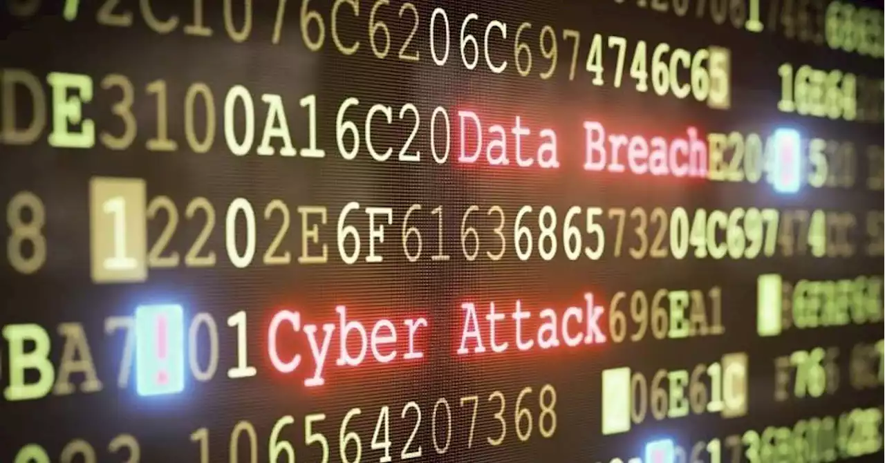 Lille : des hackers revendiquent la cyberattaque de la mairie et diffusent des données