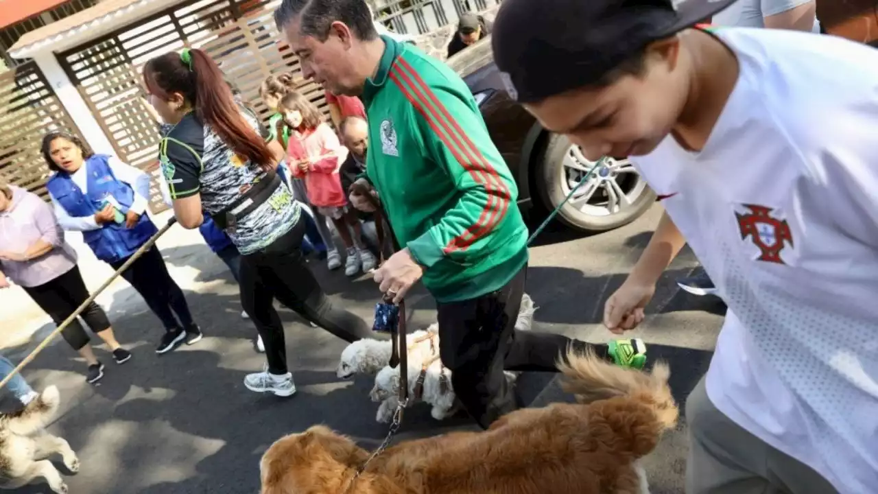 700 mascotas participan en el Primer Maratón Canino 2023, en Coyoacán