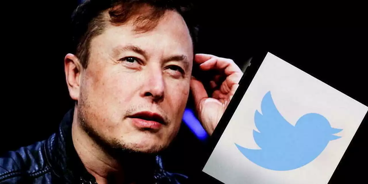 Elon Musk estime que Twitter a perdu la moitié de sa valeur