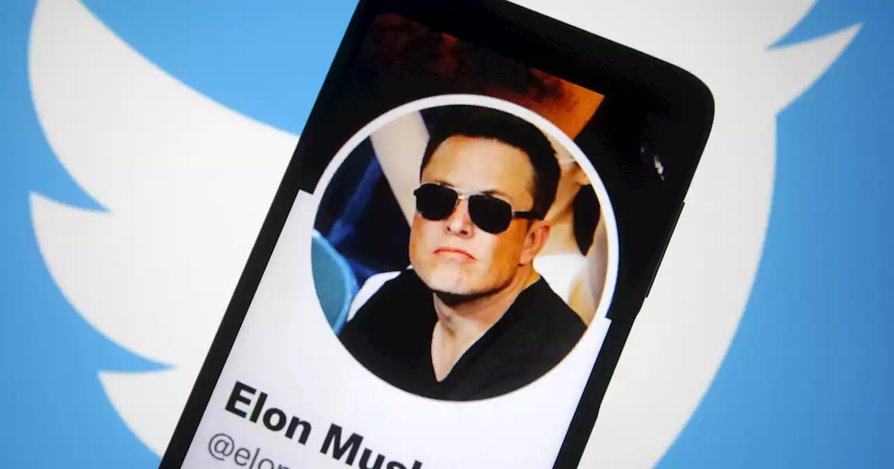 Selon Elon Musk, la valorisation de Twitter a été divisée par deux depuis son rachat