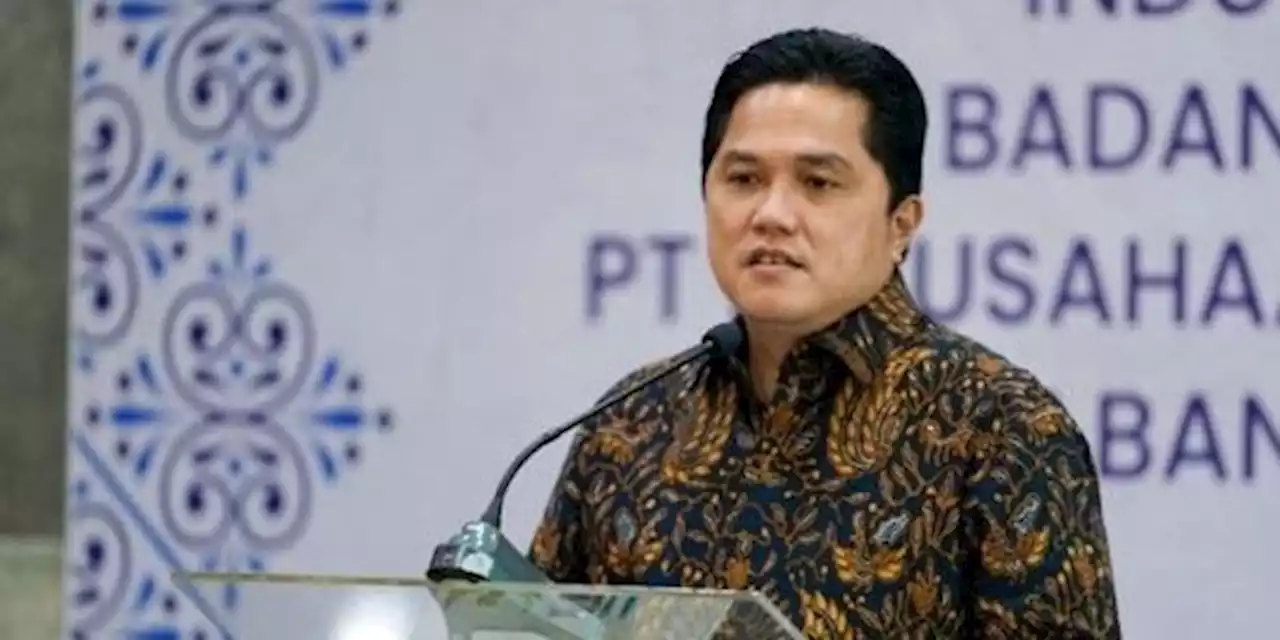 Kunjungi 6 Negara Afrika, Erick Thohir Ingin Barter Investasi dengan Daging | merdeka.com