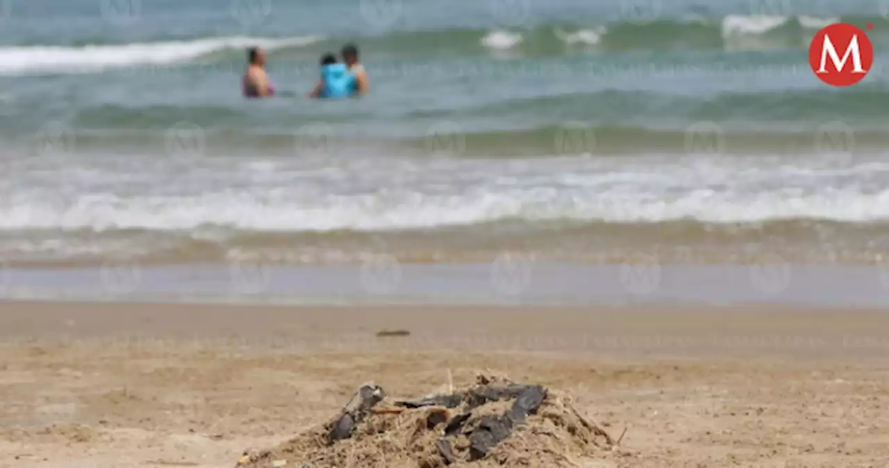 ¿Ganas de sol, arena y mar?Conoce las playas más cercanas a Hidalgo