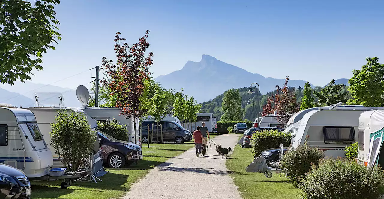 Camping auf Rekordhoch: 'Der Boom ist nach wie vor ungebrochen'