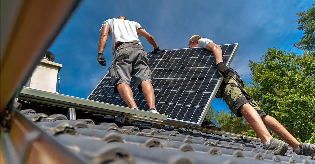 Photovoltaik-Förderung: 'Ich kann mir kein schlechteres System vorstellen'