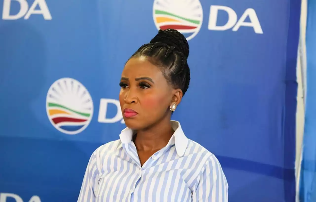 DA leadership race: Steenhuisen, Phalatse to woo party members during an internal, closed-door debate | News24