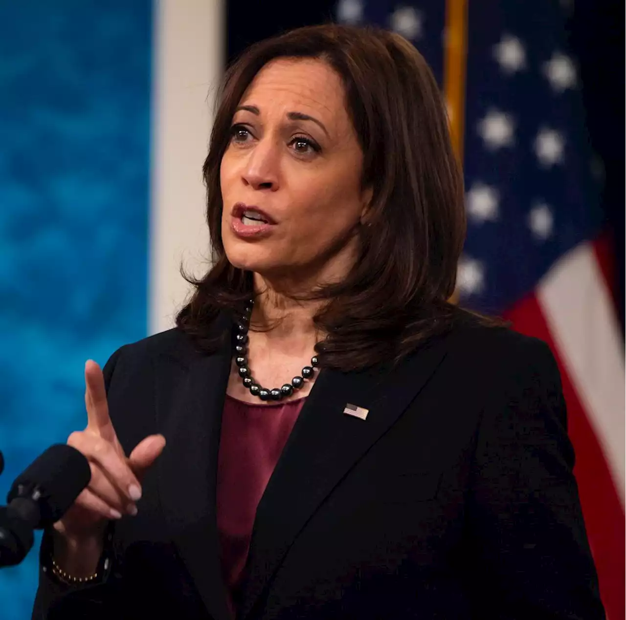 Harris visits Ghana's president, promises aid, investments - New York Amsterdam News