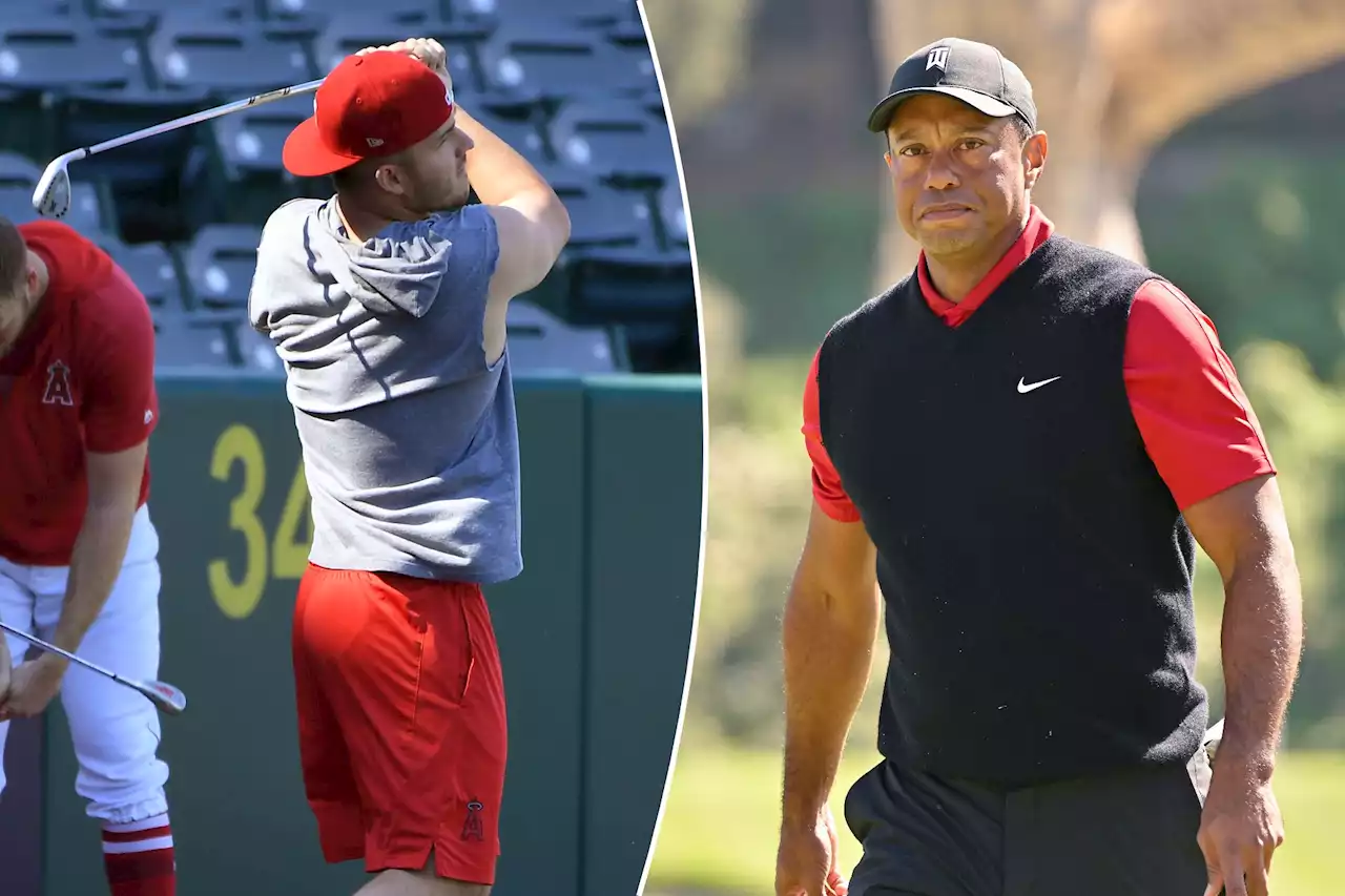 Mike Trout teaming up with Tiger Woods for special New Jersey golf course