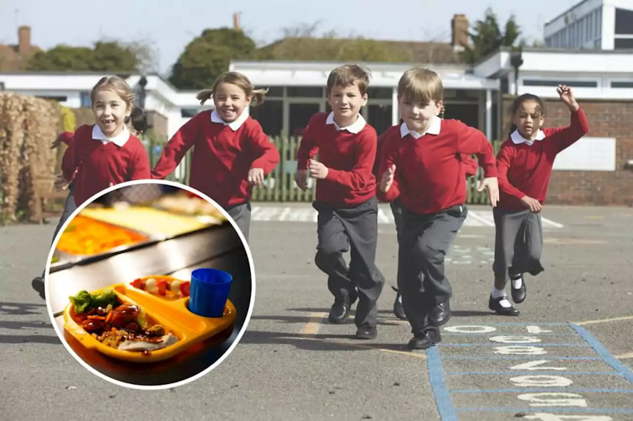 The latest food hygiene ratings for schools and nurseries