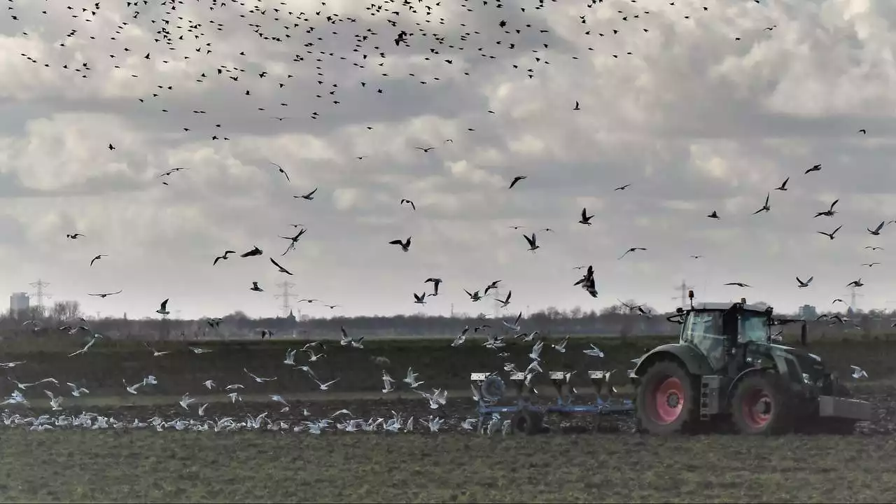 Waarom het ook voor boeren van belang is dat onteigening mogelijk blijft