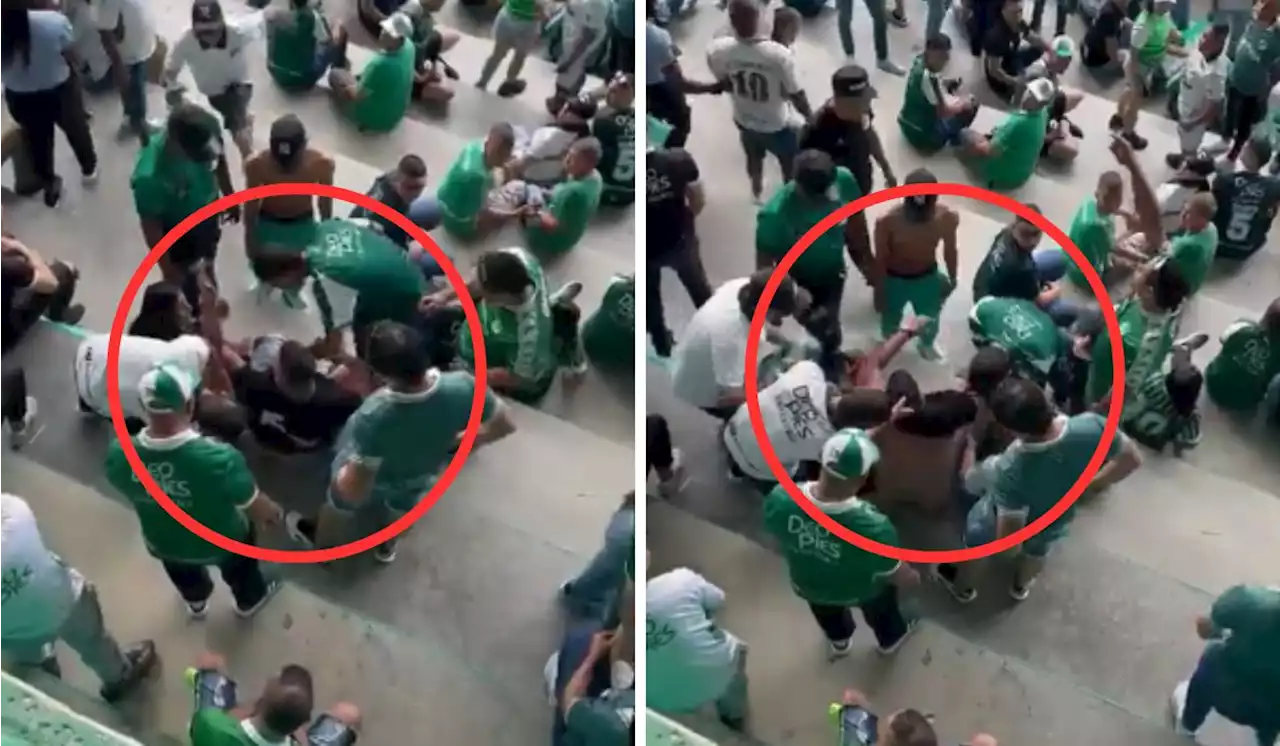 [Video] Hinchas del Cali requisaron y robaron a otro seguidor del mismo equipo en estadio - Pulzo