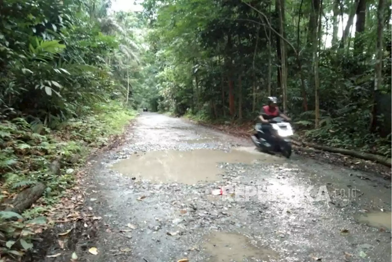 Jalan Hutan di Tengah Kota Ini Rusak |Republika Online