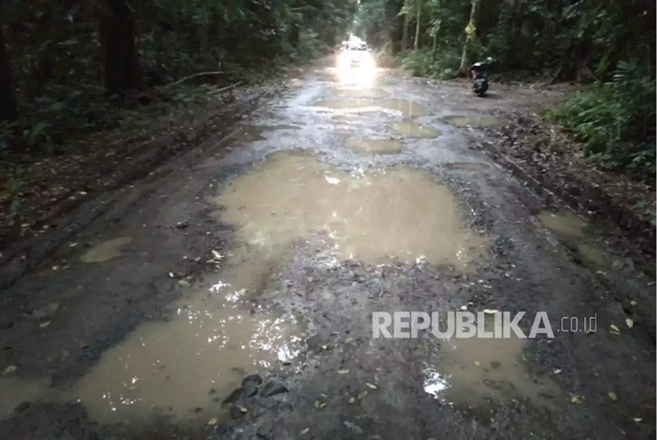 Pemkot Bogor Ajukan Perbaikan Jalan Rusak di Kawasan Hutan Cifor |Republika Online