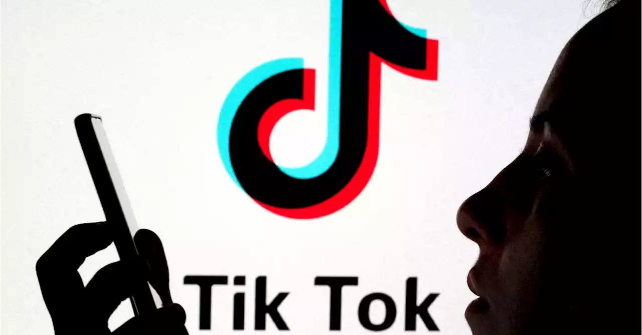 Japan lawmakers eye ban on TikTok, others if used improperly