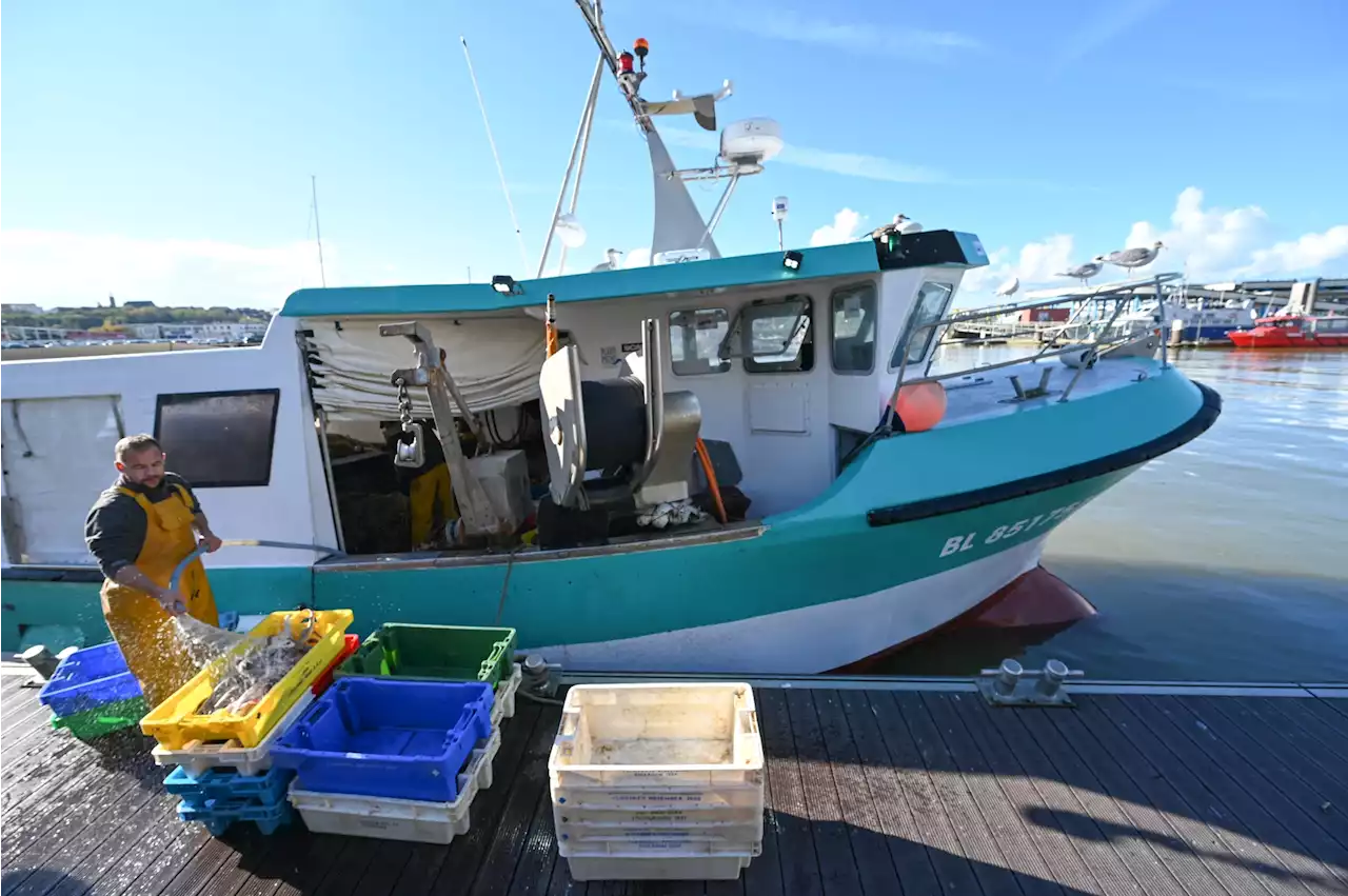 Des pêcheurs en colère bloquent le port de Boulogne-sur-Mer