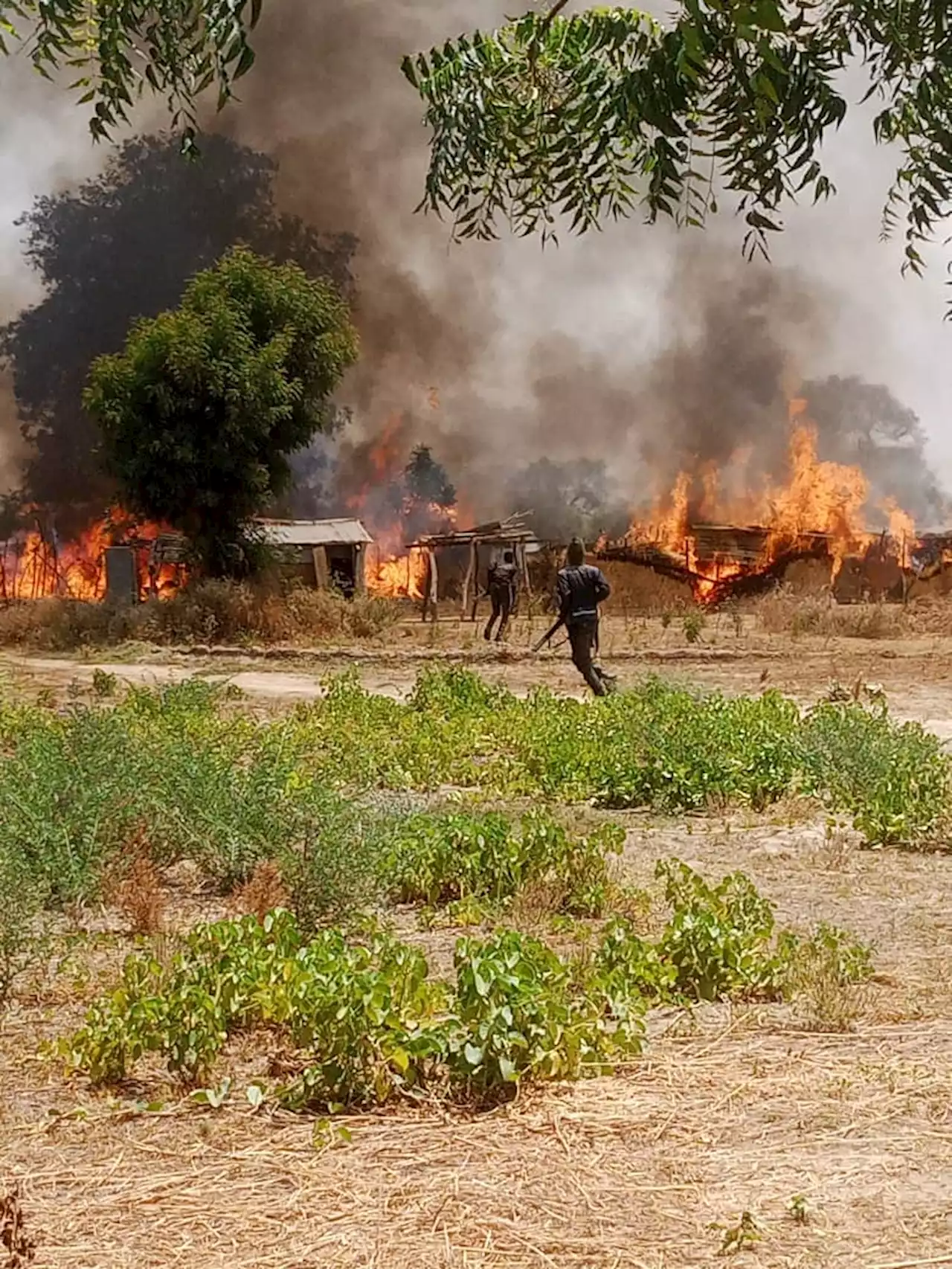 Nigerian Troops ‘Storm ISWAP Hideout, Kill Commander, 40 Other Terrorists’ In Borno | Sahara Reporters