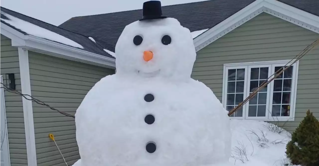 WEATHER PHOTO: A spring snowman in St. John's, N.L. | SaltWire