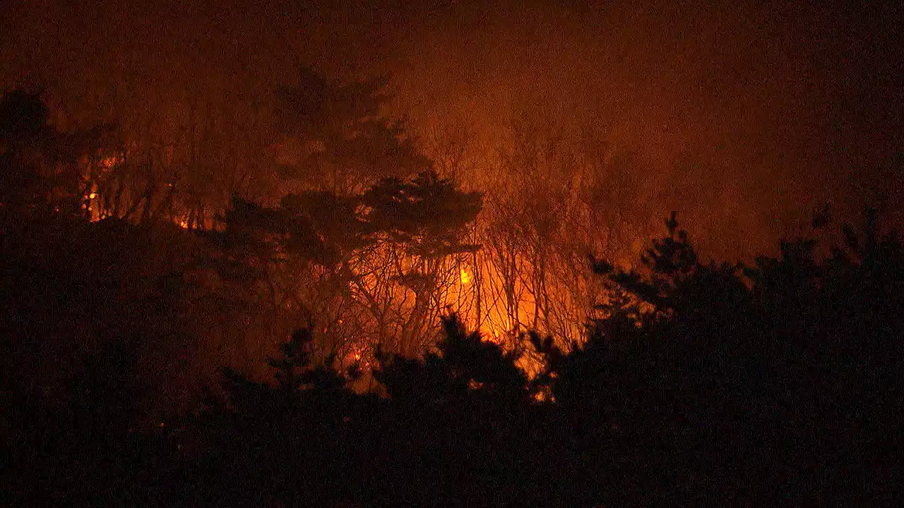 마니산 산불 밤샘 진화…축구장 30개 면적 불타