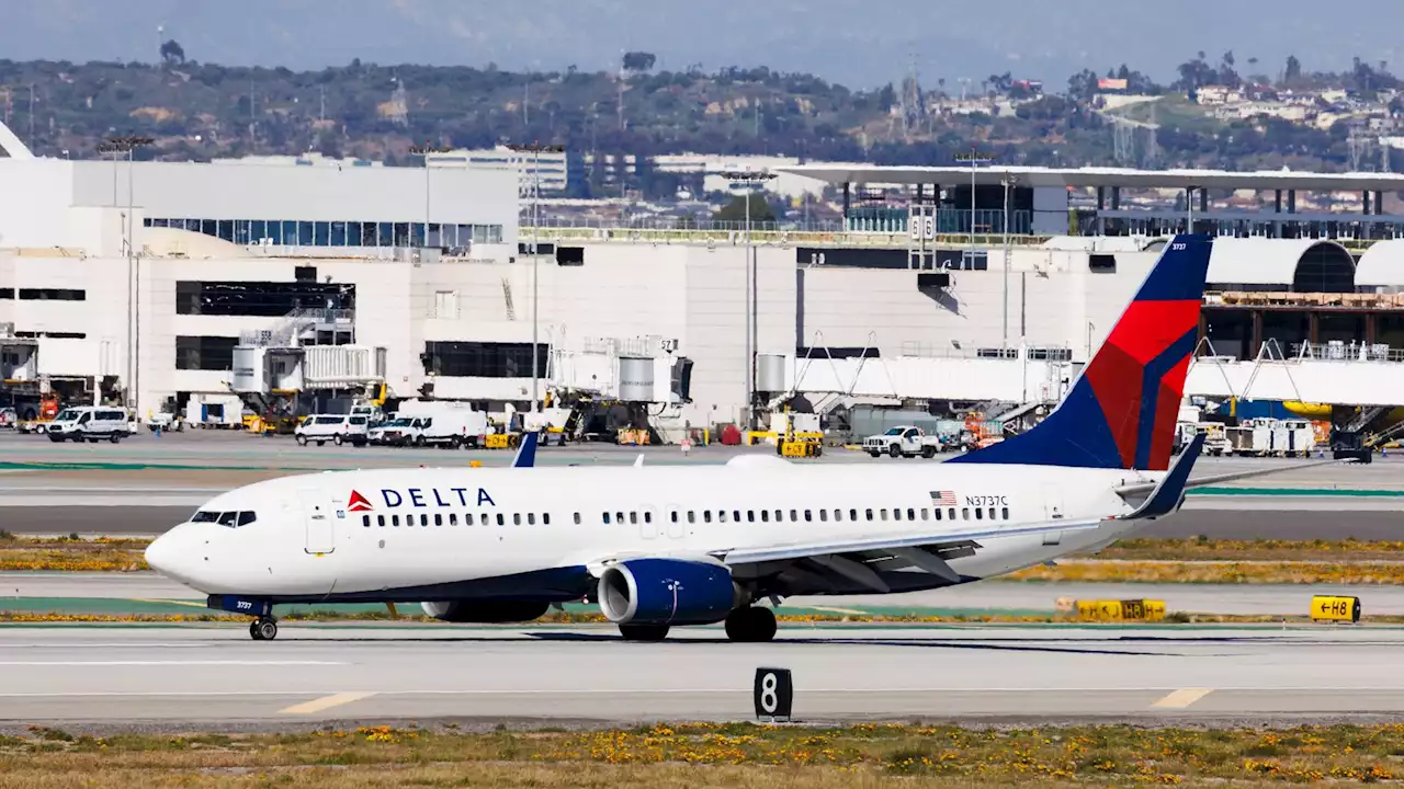 Passenger 'opens door on Delta Airlines plane, triggers emergency slide and jumps out'