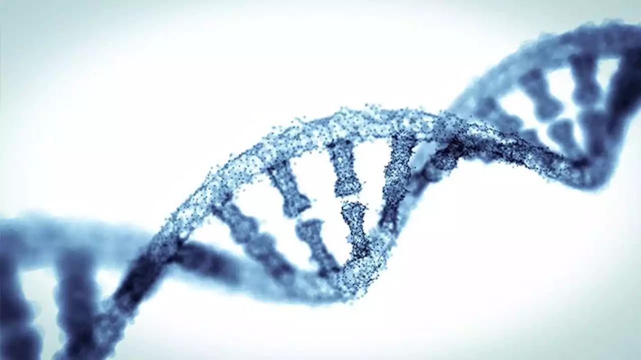 Appeals Court rules courts empowered to order DNA tests to ascertain child's paternity