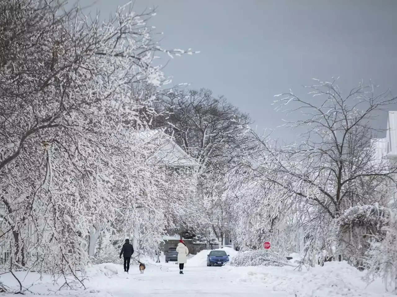 Ontario doles out $5.5M to small communities for storm clean up, recovery