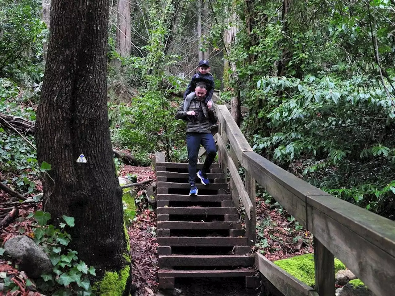 Reopening of Quarry Rock in North Vancouver brings smiles, and traffic