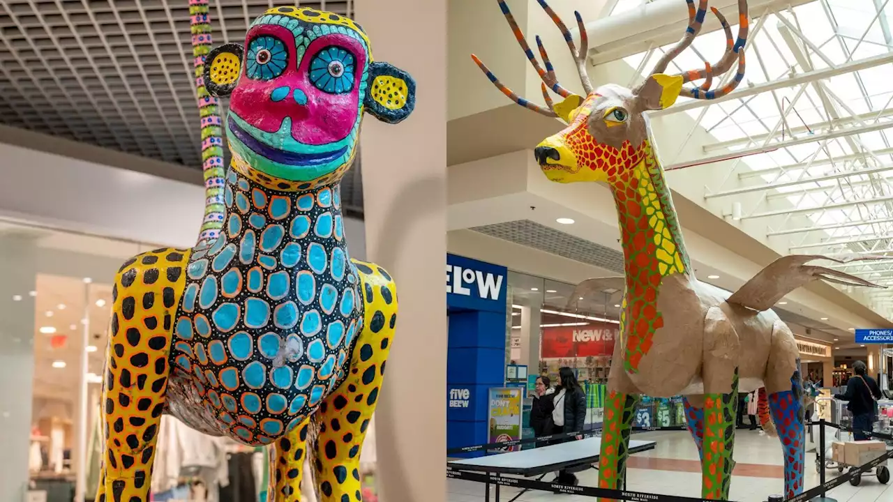 Shop Alongside Alebrijes at North Riverside Park Mall