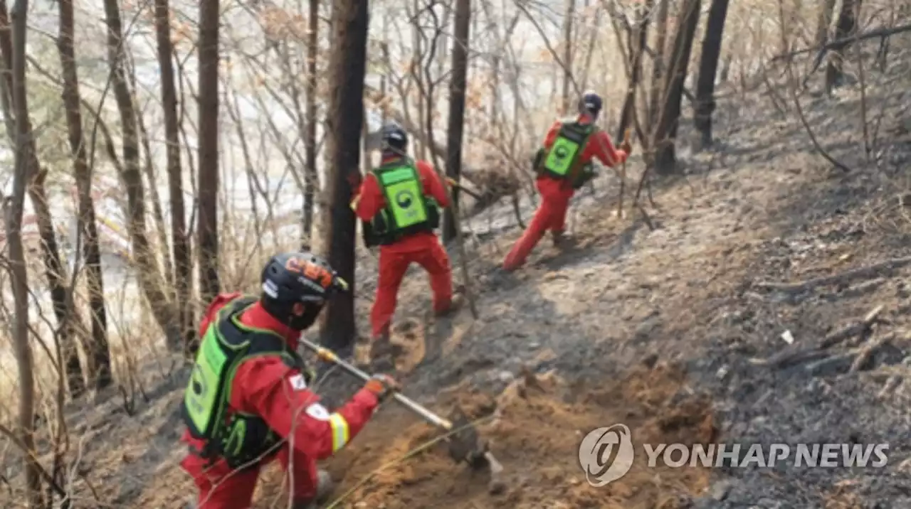 강화 마니산 산불 17시간만에 주불 진화…22만㎡ 피해 | 연합뉴스