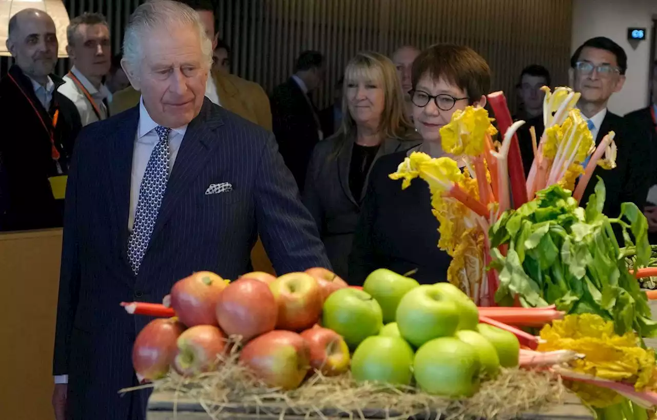 Charles III attendu à Berlin pour sa première visite d’Etat à l’étranger