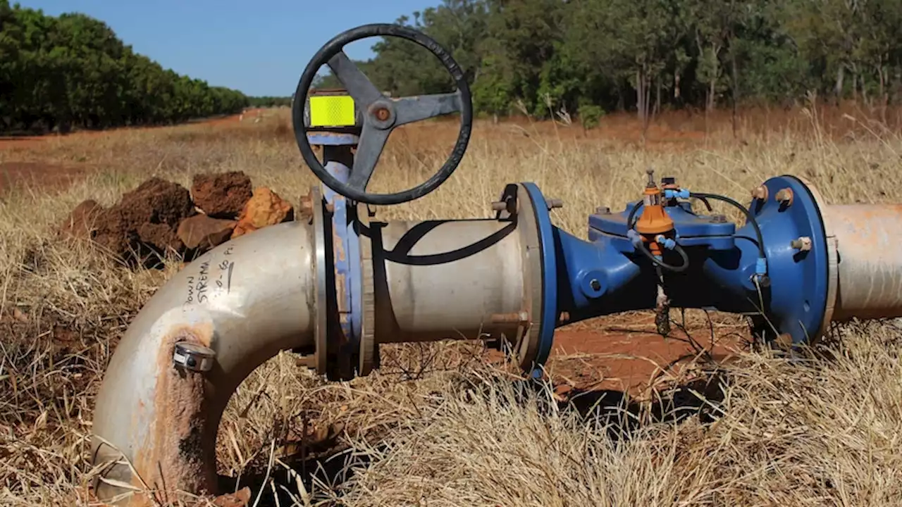 Water licence for Malaysian-owned cattle station cut by 90 per cent