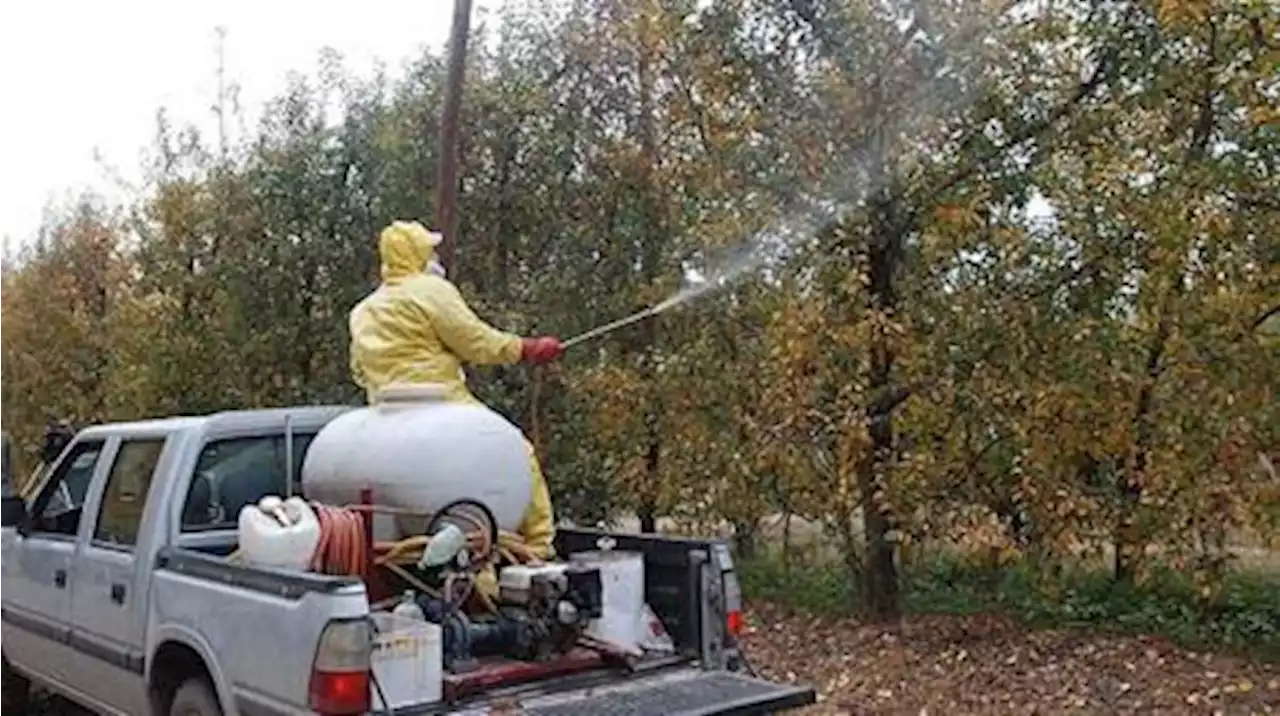 Emergencia agropecuaria en Mendoza por granizo y fitosanitaria en Río Negro