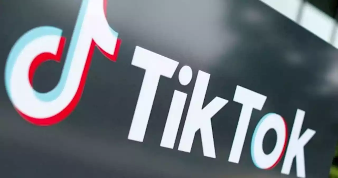 TikTok is like China's 'Trojan horse', says top US cyber official