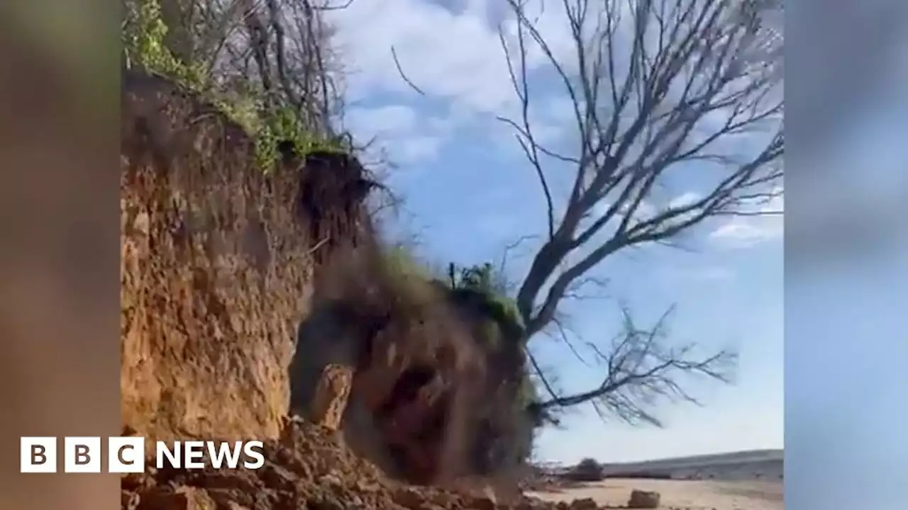 Dog walker captures footage of cliff collapse