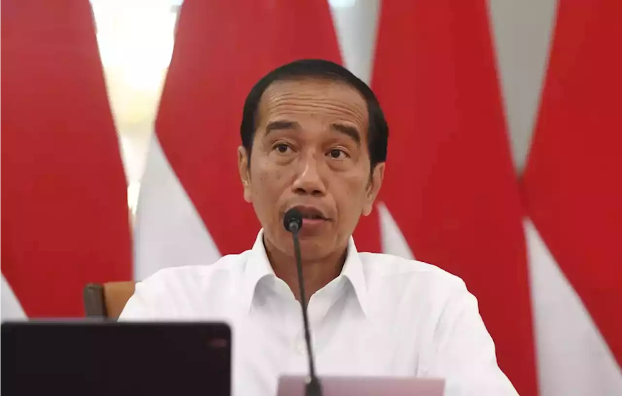 Jokowi Tekankan Pentingnya Energi Murah di RPJPN 2025-2045