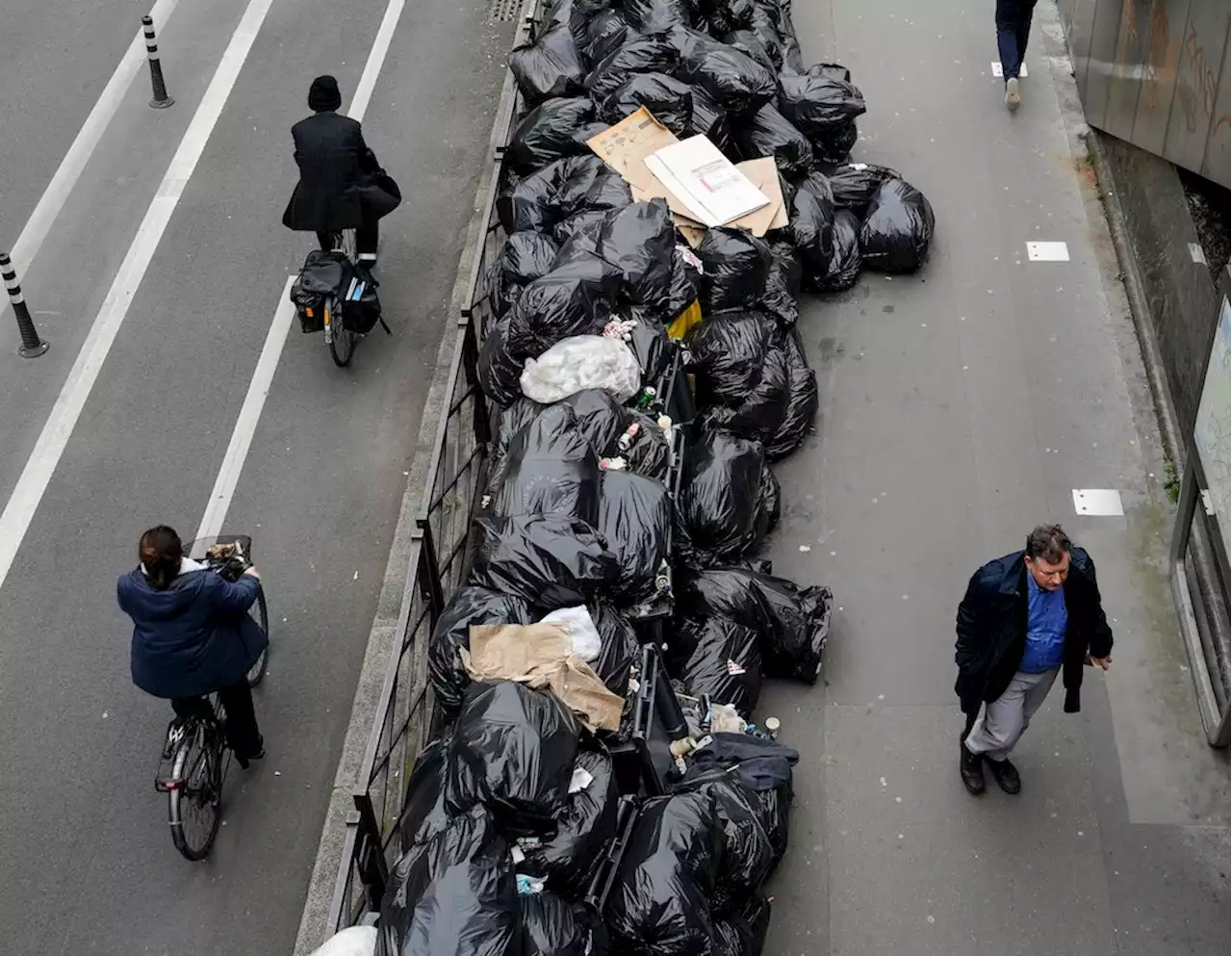 Folgen des BSR-Streiks: Abfallexperte sieht Ratten und Bakterien nach Berlin kommen