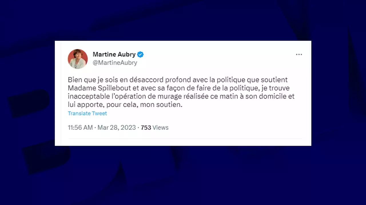 Réforme des retraites: le domicile de la députée Violette Spillebout muré par des manifestants à Lille