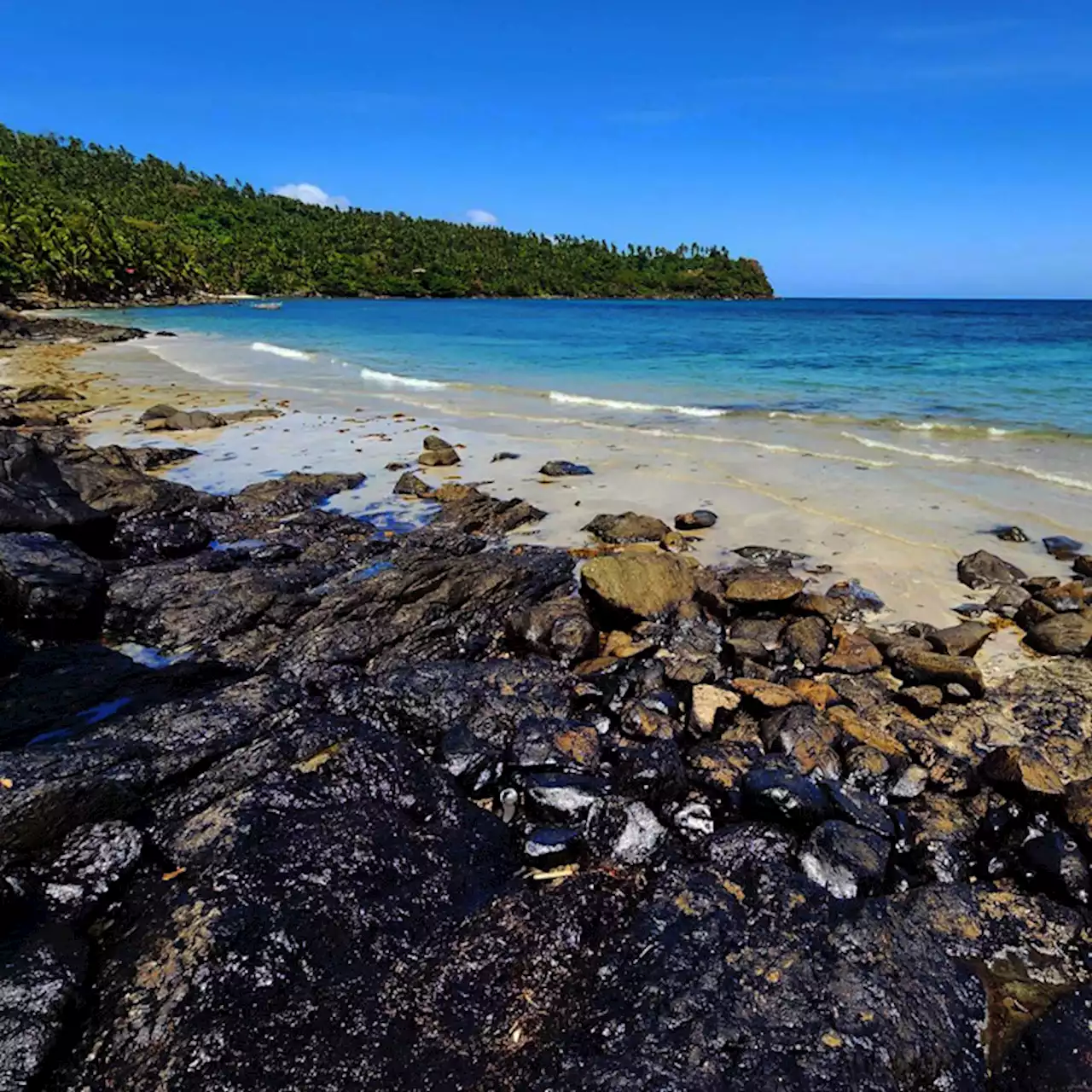 Group outlines legal liabilities of vessel owner in Mindoro oil spill | Jonathan L. Mayuga