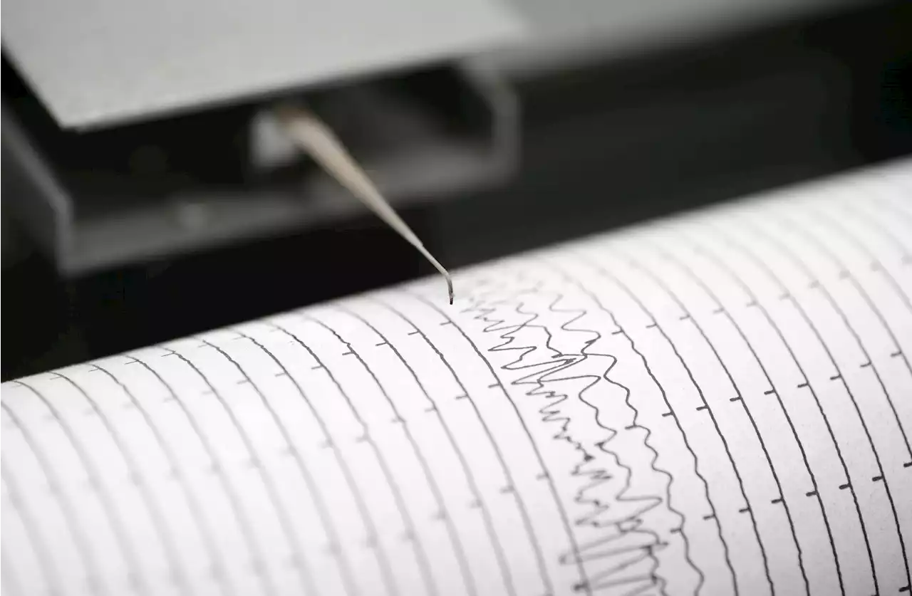 En VIVO Temblor HOY en Colombia: locación, epicentro y magnitud de los sismos