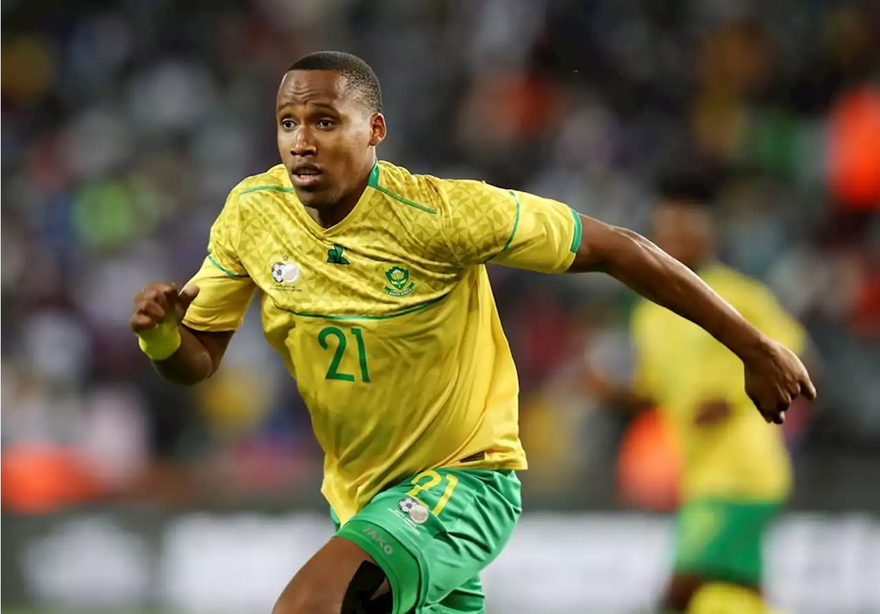 Huge reprieve for Hugo Broos as South Africa book Afcon ticket | City Press