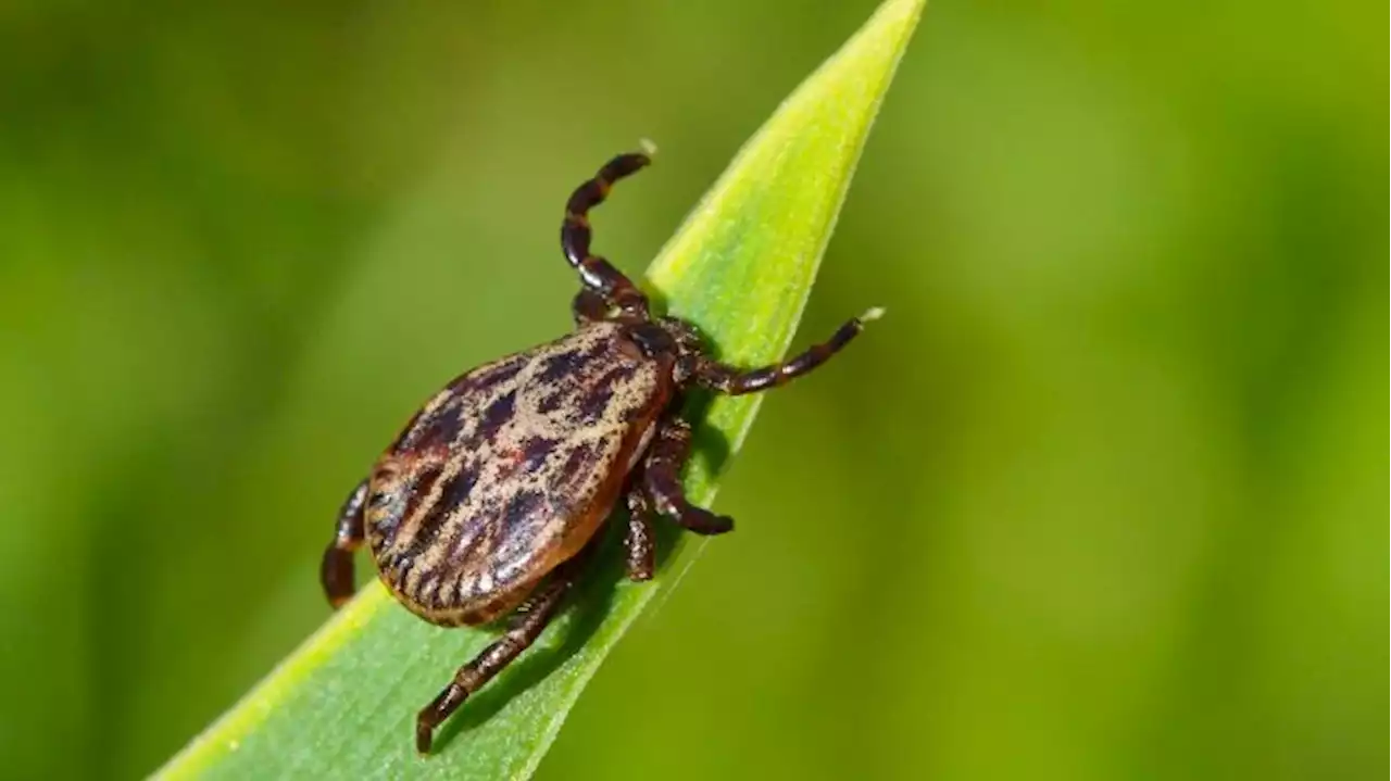 'Entscheidender als steigende Temperaturen sind einzelne Wetterereignisse'