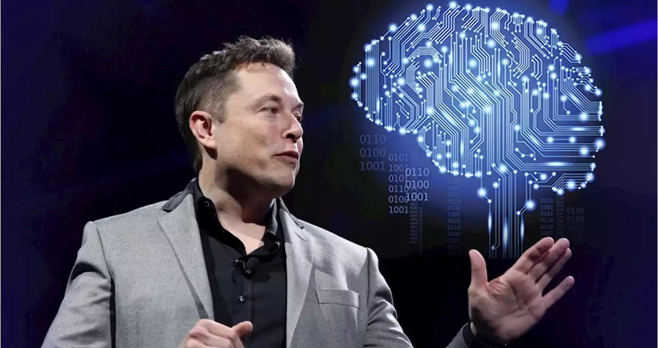 Neuralink : Elon Musk cherche des cobayes humains pour ses capteurs cérébraux