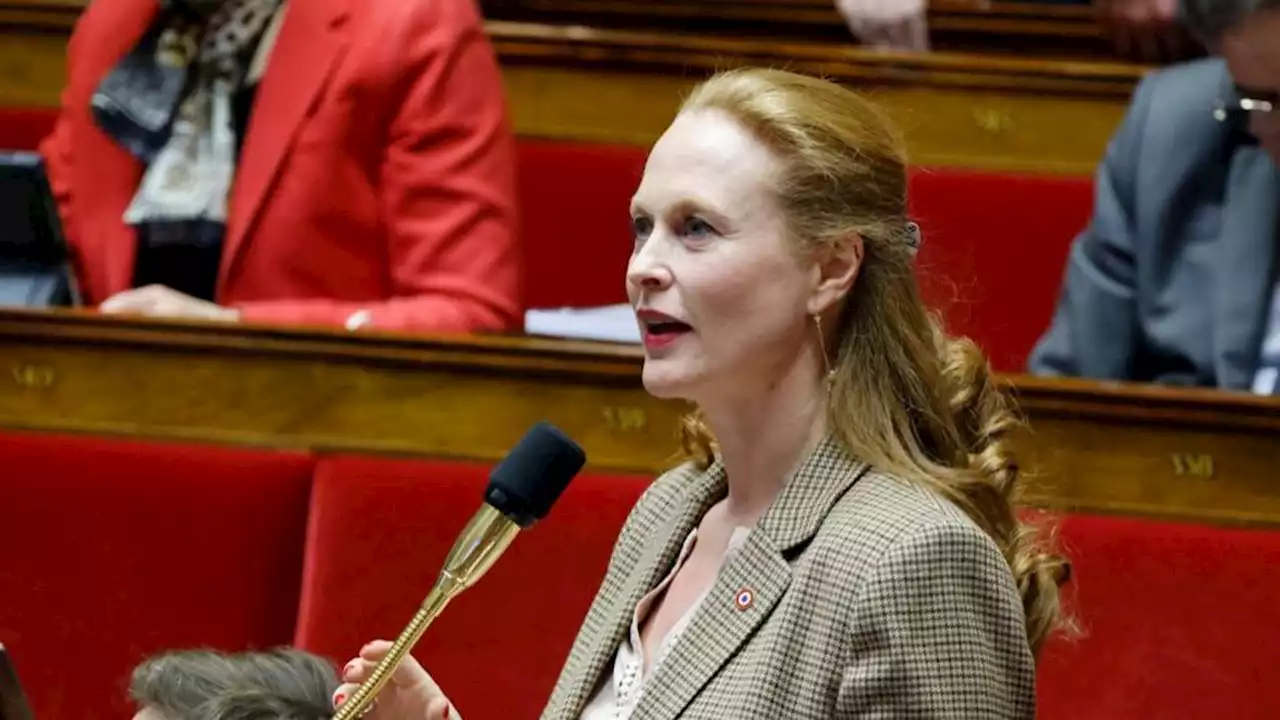 Réforme des retraites : le domicile d’une députée Renaissance muré par des manifestants