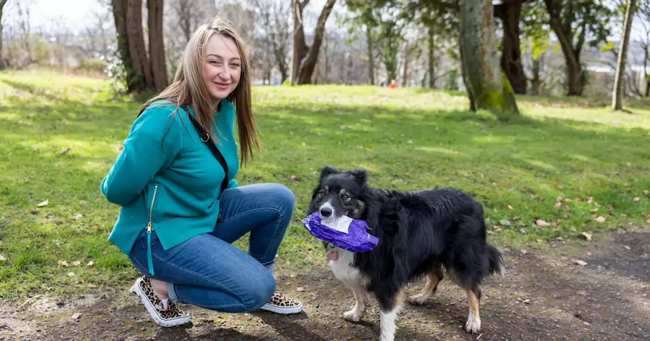 Litter-picking Scots dog applauded by locals for keeping community tidy